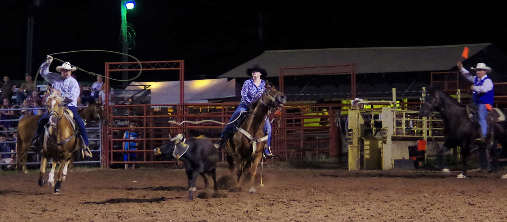 "Bucking broncos and daredevil riders: a real-life rodeo experience"