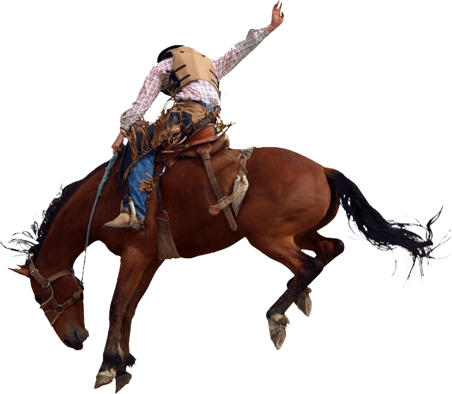 Rodeo Riderin Action.png PNG