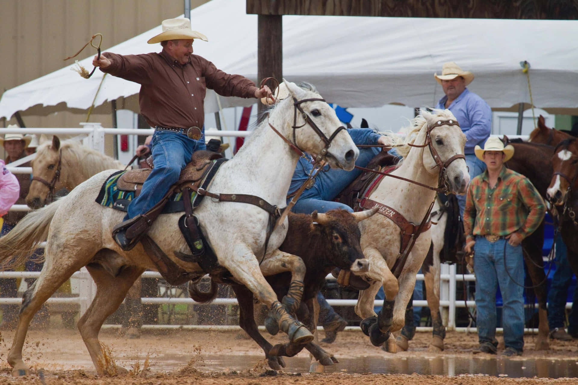 Preparatiper La Sfida - I Cowboy Del Rodeo Mostrano Le Loro Abilità Di Monta. Sfondo