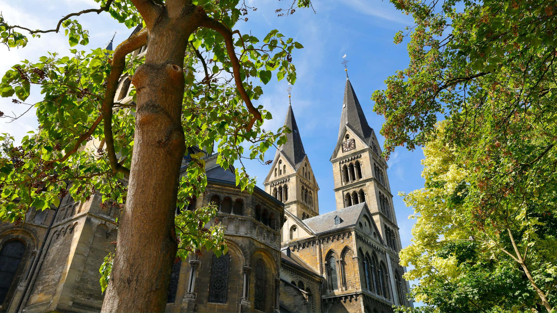 Arsitektur Katedral Roermond Di Garis Langit Wallpaper