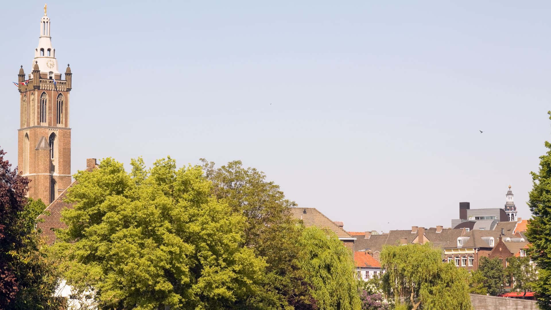 Roermond Skyline Med Sint Christoffelkathedraal Bakgrunnsbildet