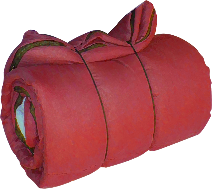 Rolled Red Sleeping Bag SVG