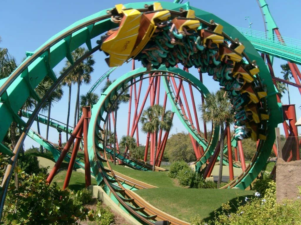 Roller Coaster Thrill Ride at Amusement Park