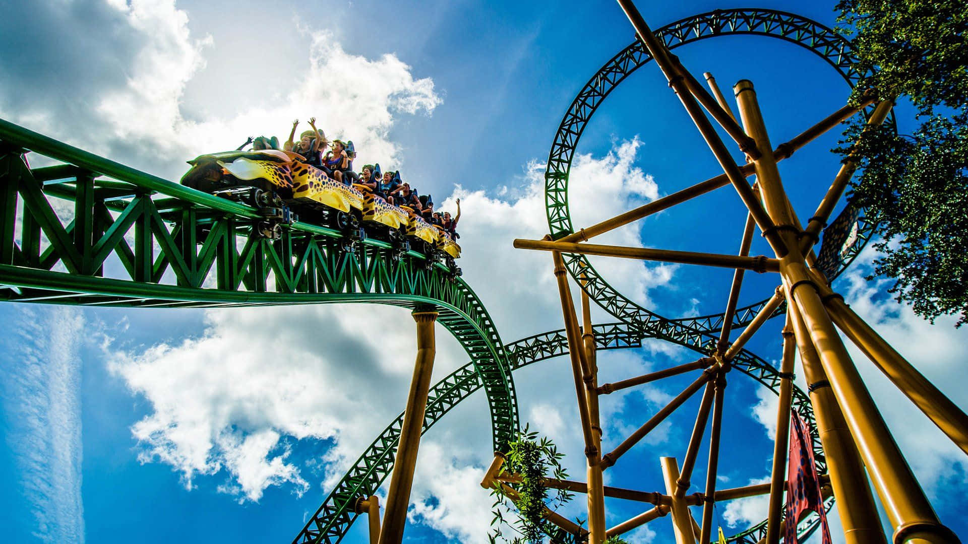 Thrilling Roller Coaster Ride at Amusement Park