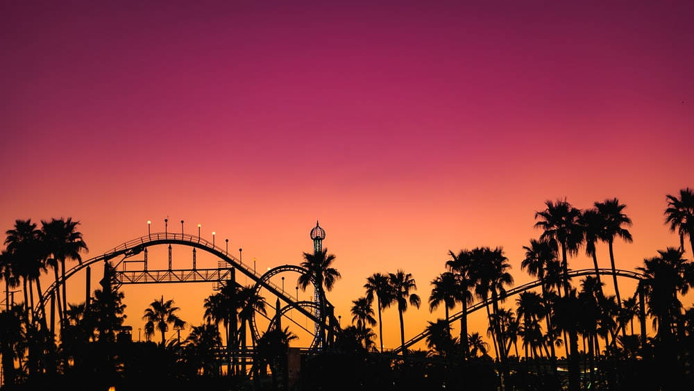 Roller Coaster And Palm Trees Wallpaper