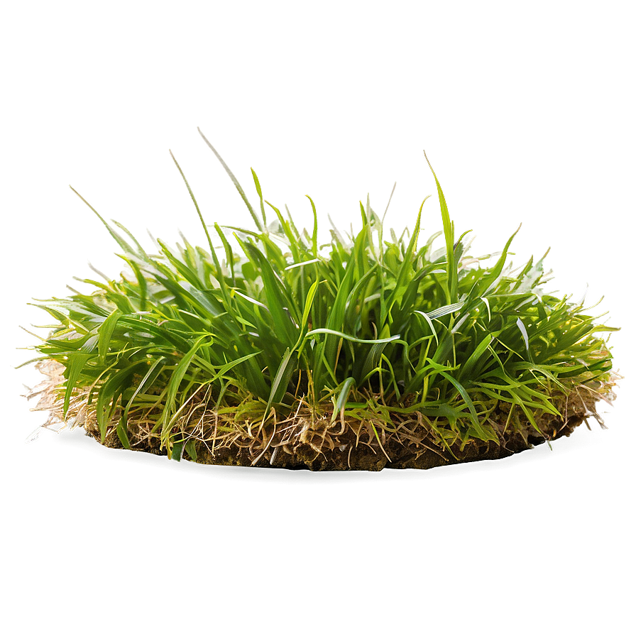 Rolling Hills Grass Png 69 PNG