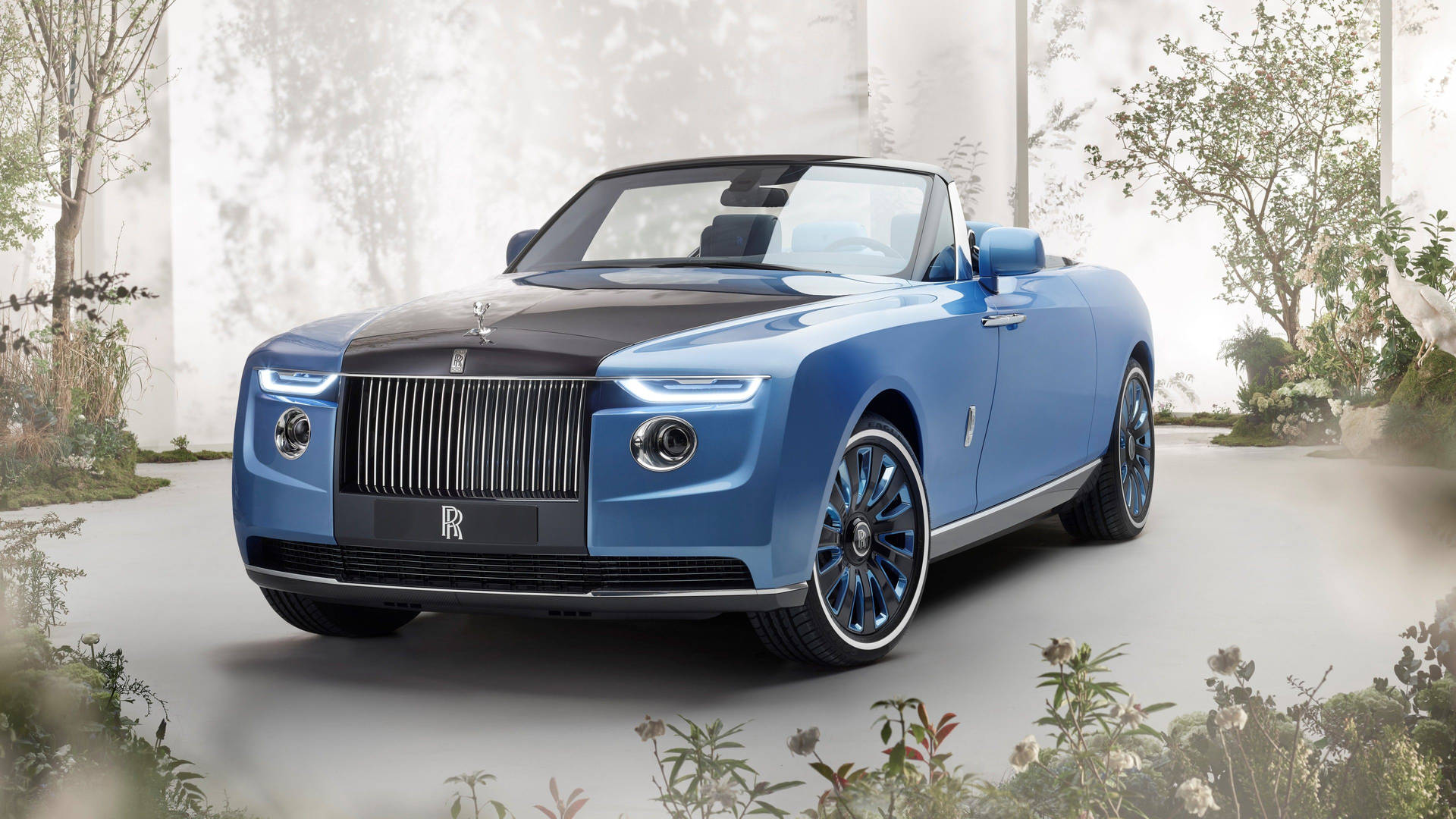 Rolls-Royce 4K Blå og Sorte Dawn Med Buske I Afstanden Wallpaper