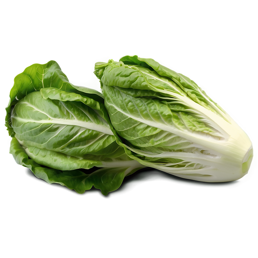 Download Romaine Lettuce Png 05242024 | Wallpapers.com