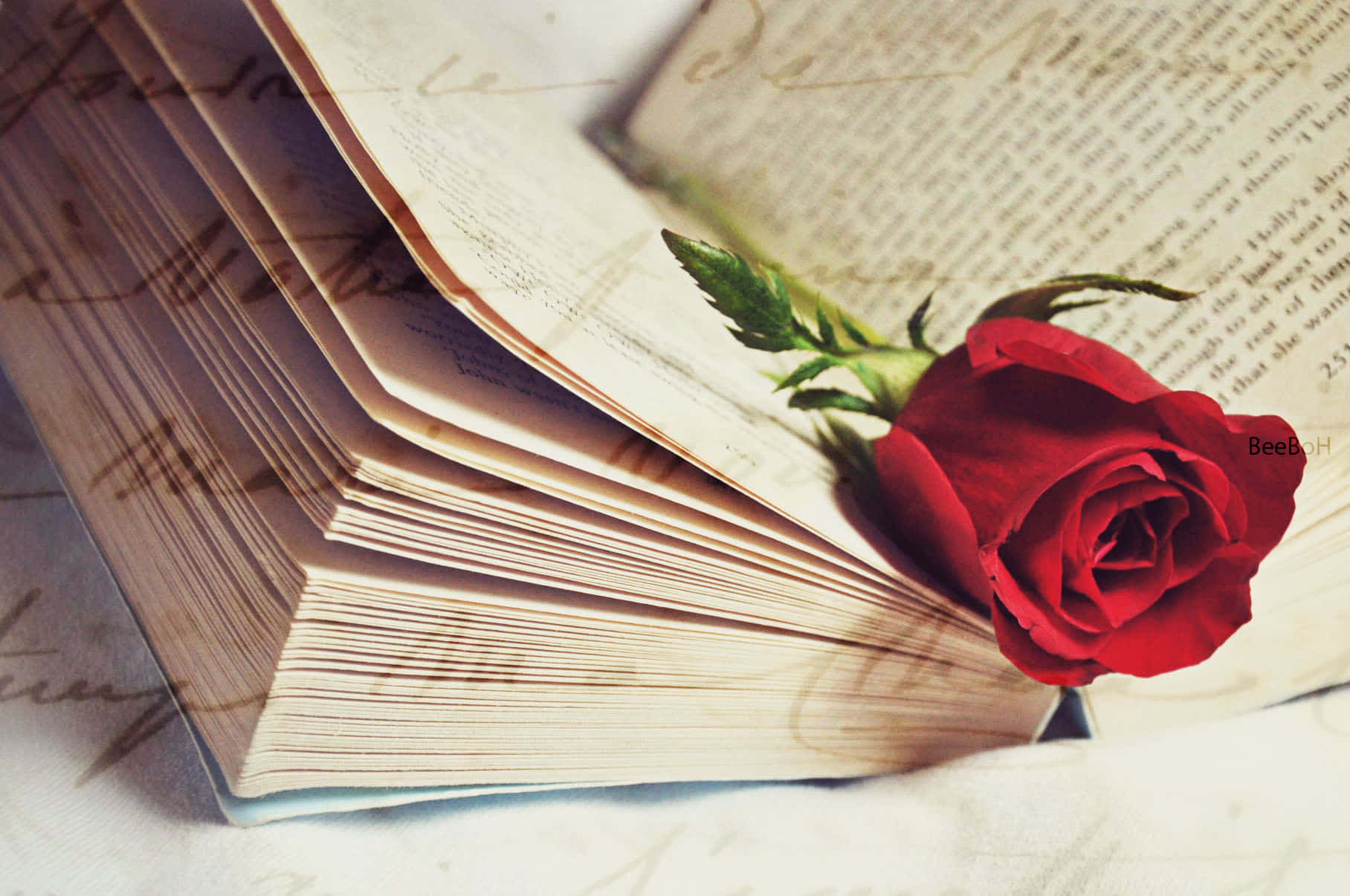 Fall in love with romance literature Wallpaper