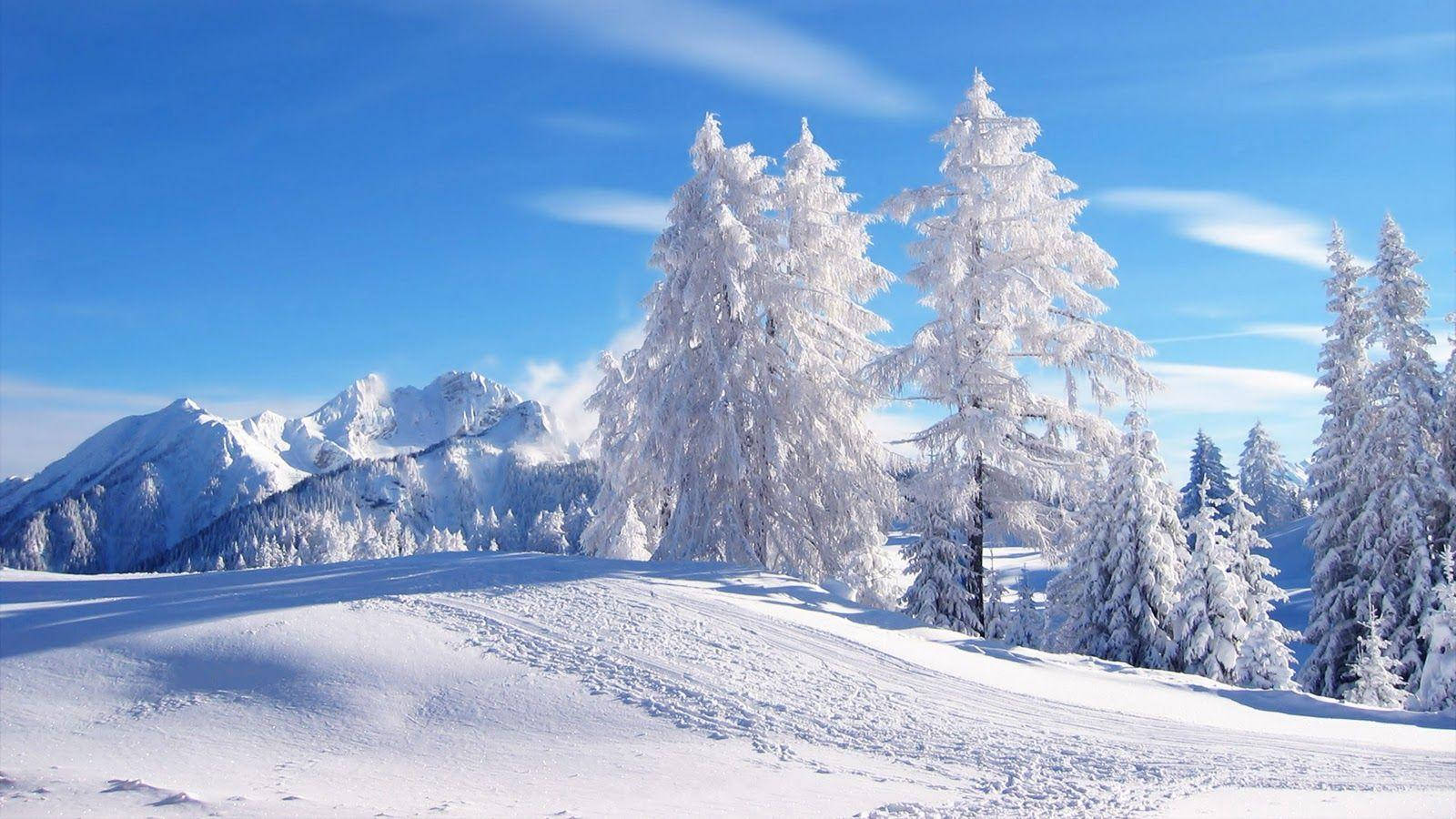 Romænien Bjerge Vinter Scenery Wallpaper