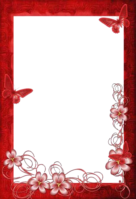 Romantic Butterfly Floral Love Frame PNG