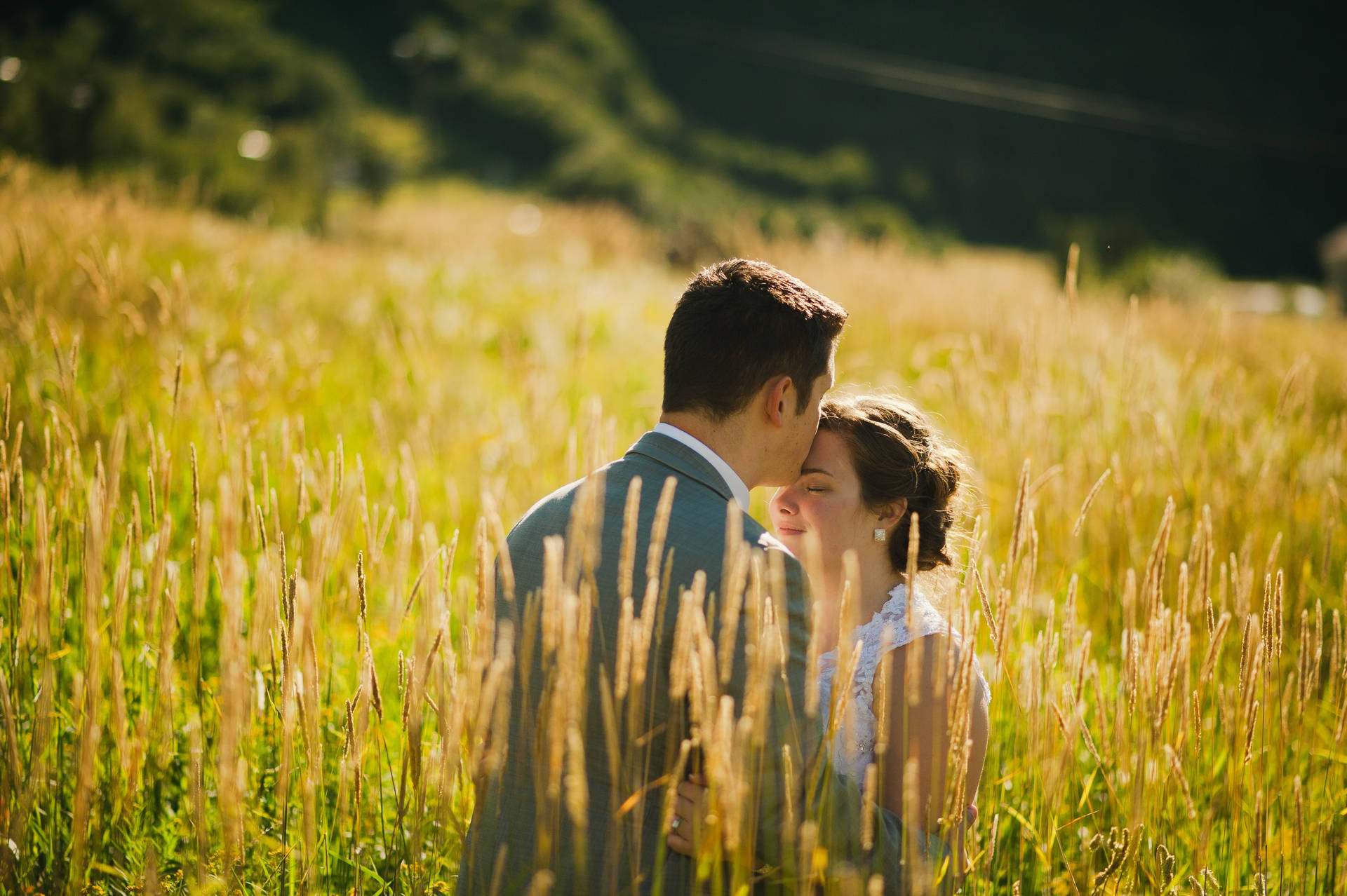 Romantic Couple Kiss In Golden Field Wallpaper