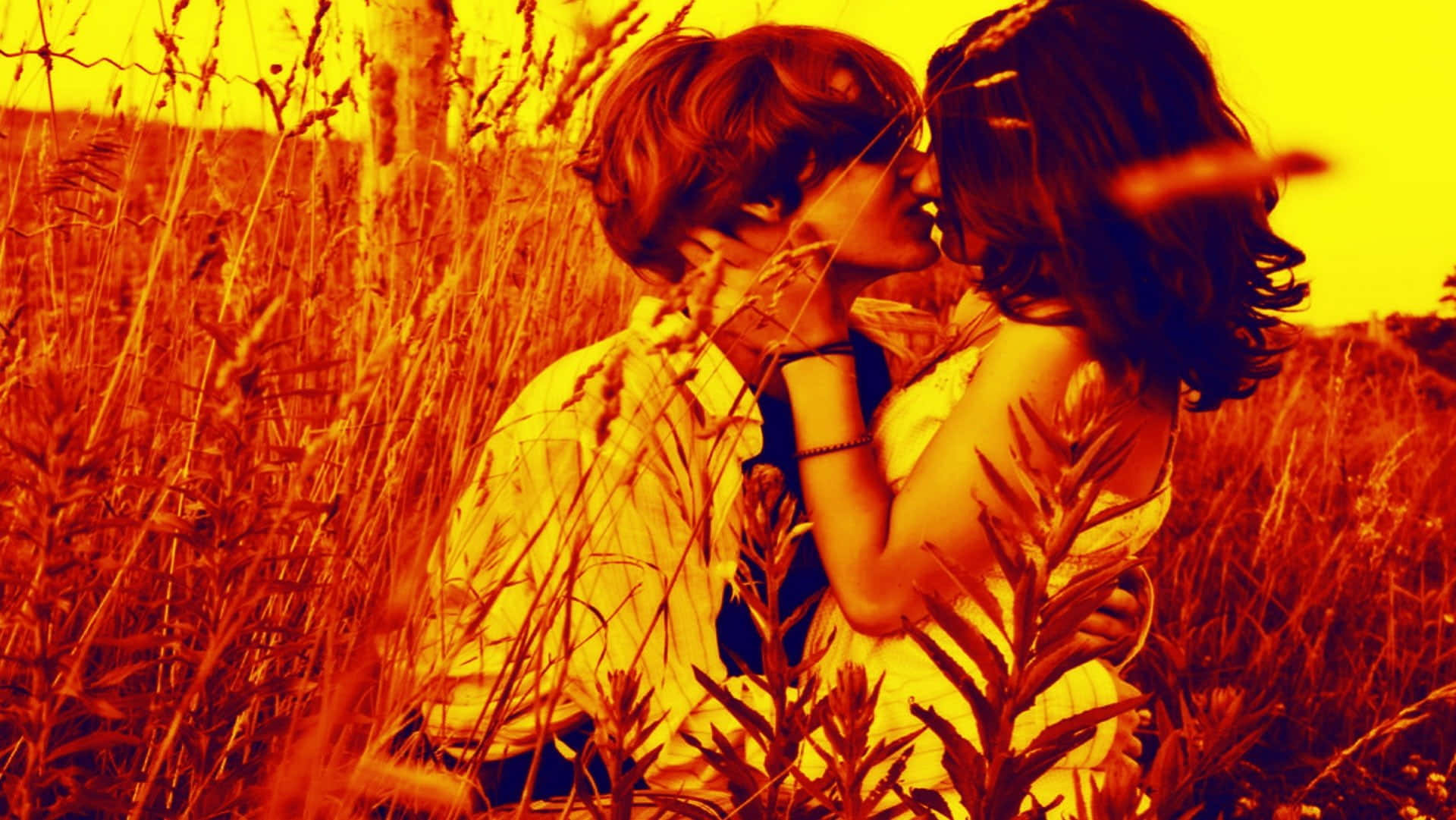 Romantic Couple Kissingin Field Wallpaper