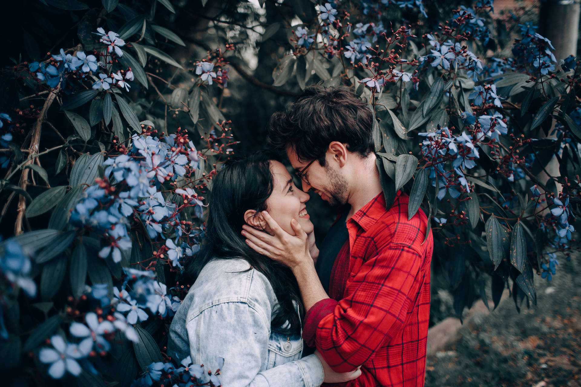 Romantisk par, der rører næser i haven Wallpaper