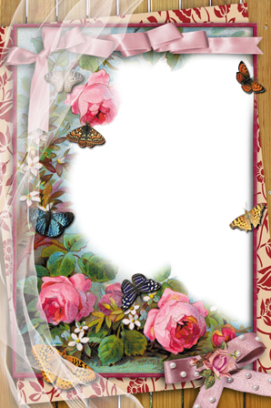 Download Romantic Floral Butterfly Frame | Wallpapers.com