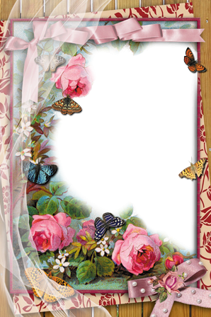 Romantic Floral Butterfly Frame PNG