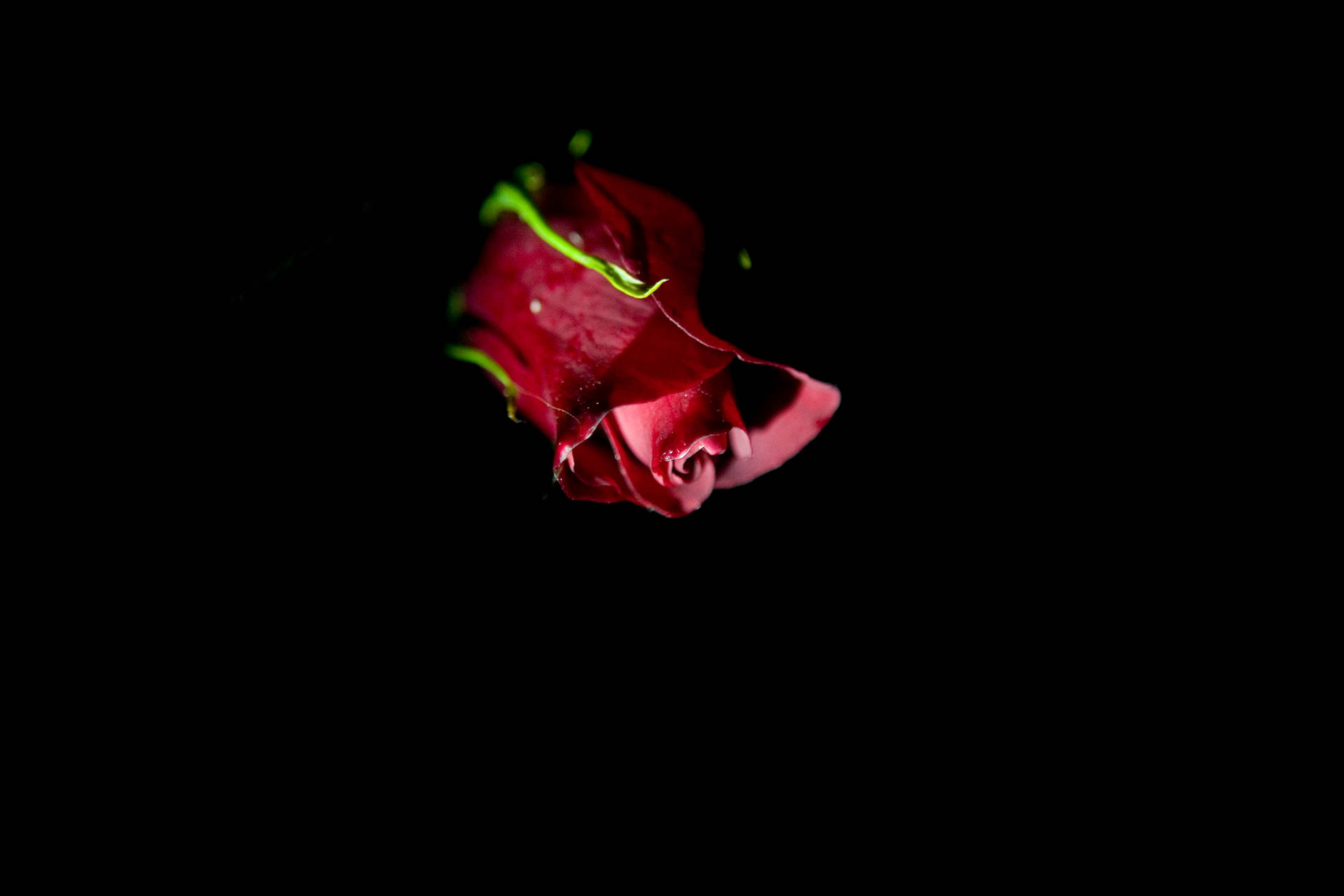 Romantischeliebesblume Rose Auf Schwarzem Hintergrund Wallpaper