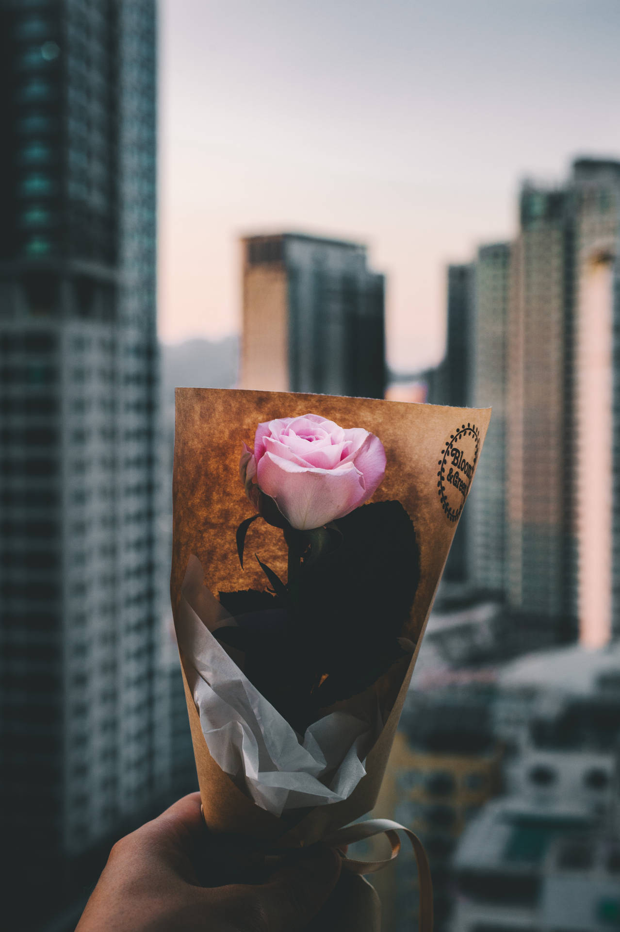 Romantic Love Flowers And City View Wallpaper