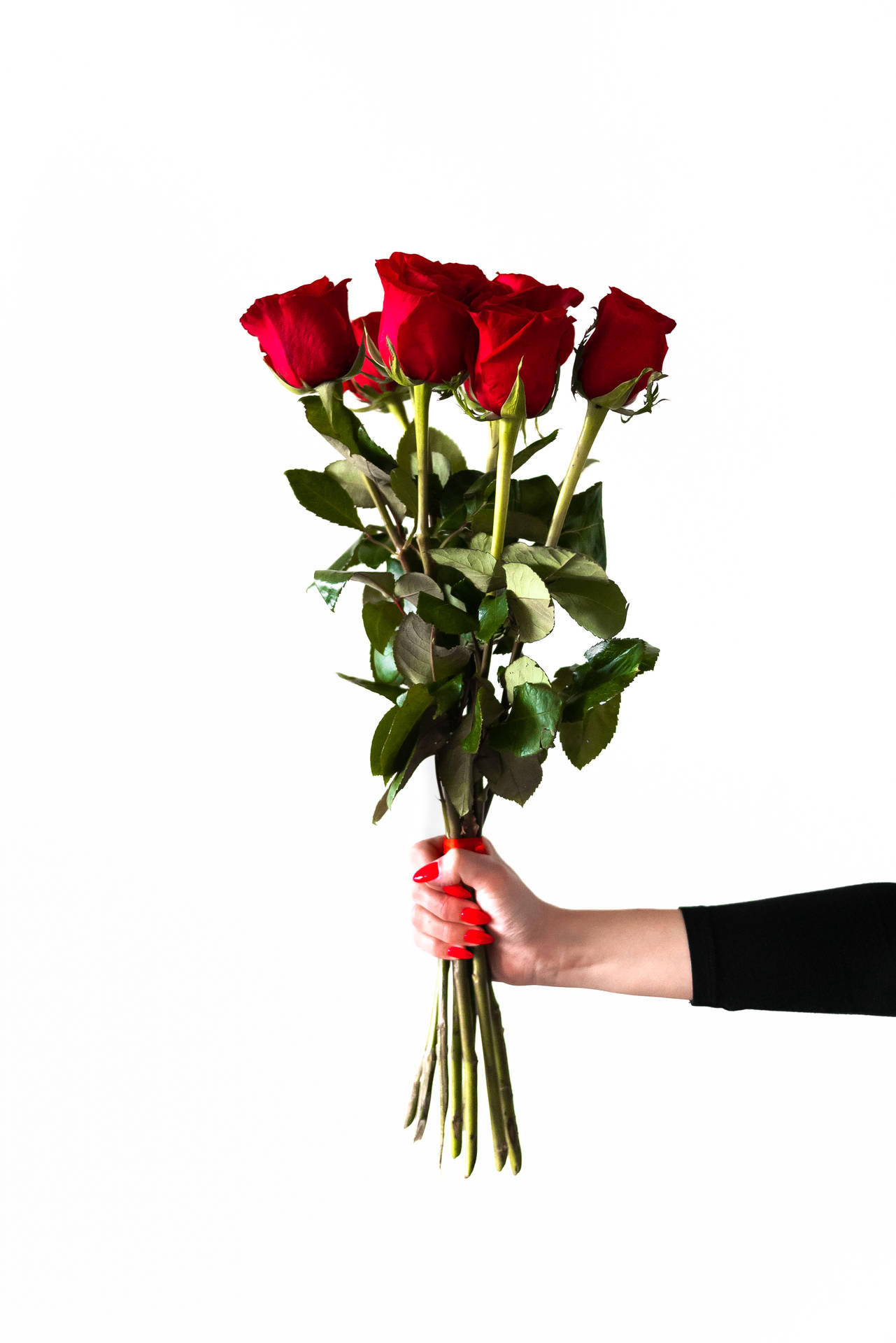 A Heartwarming Bouquet of Deep Red Roses Wallpaper