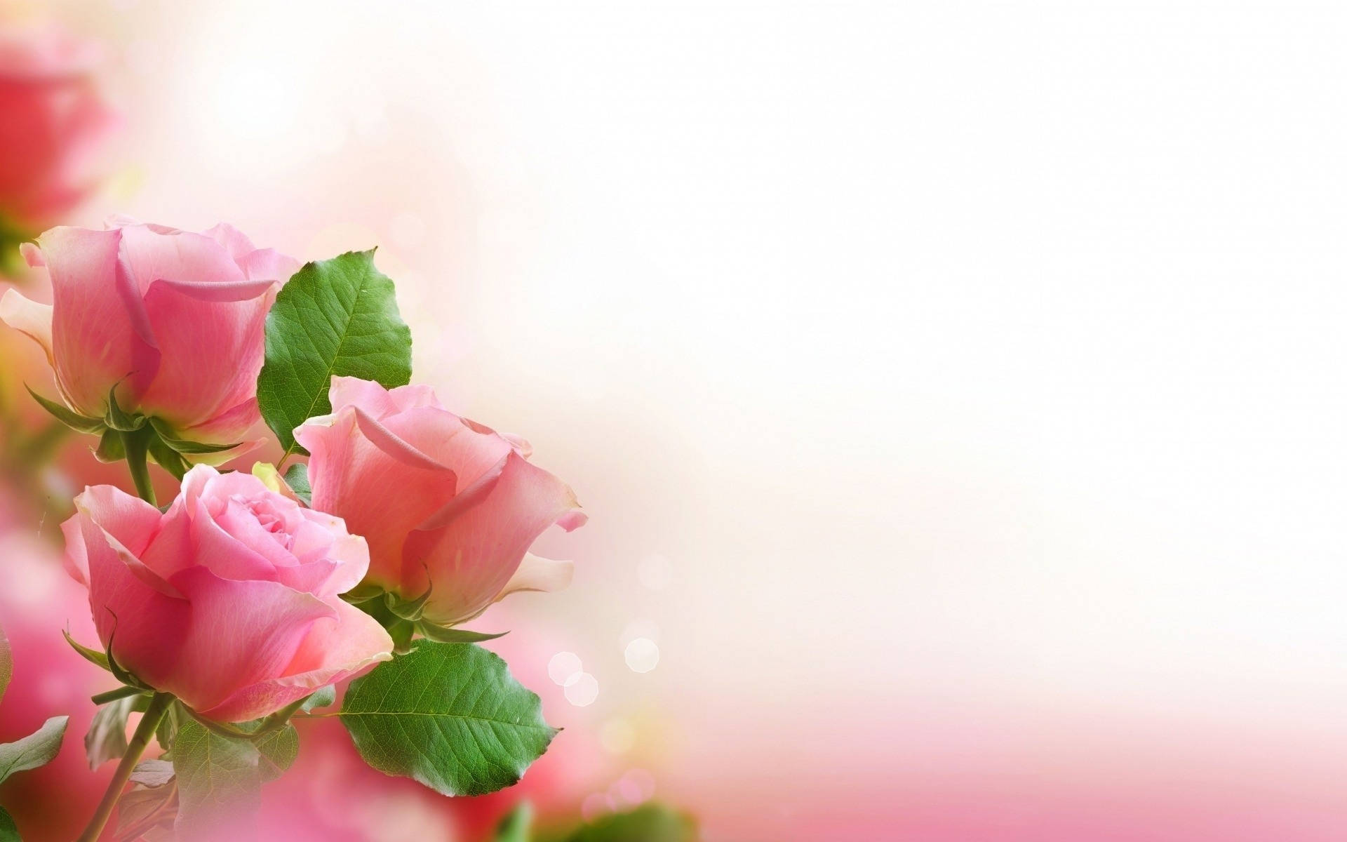 Romantic Love Flowers Pink Roses Wallpaper