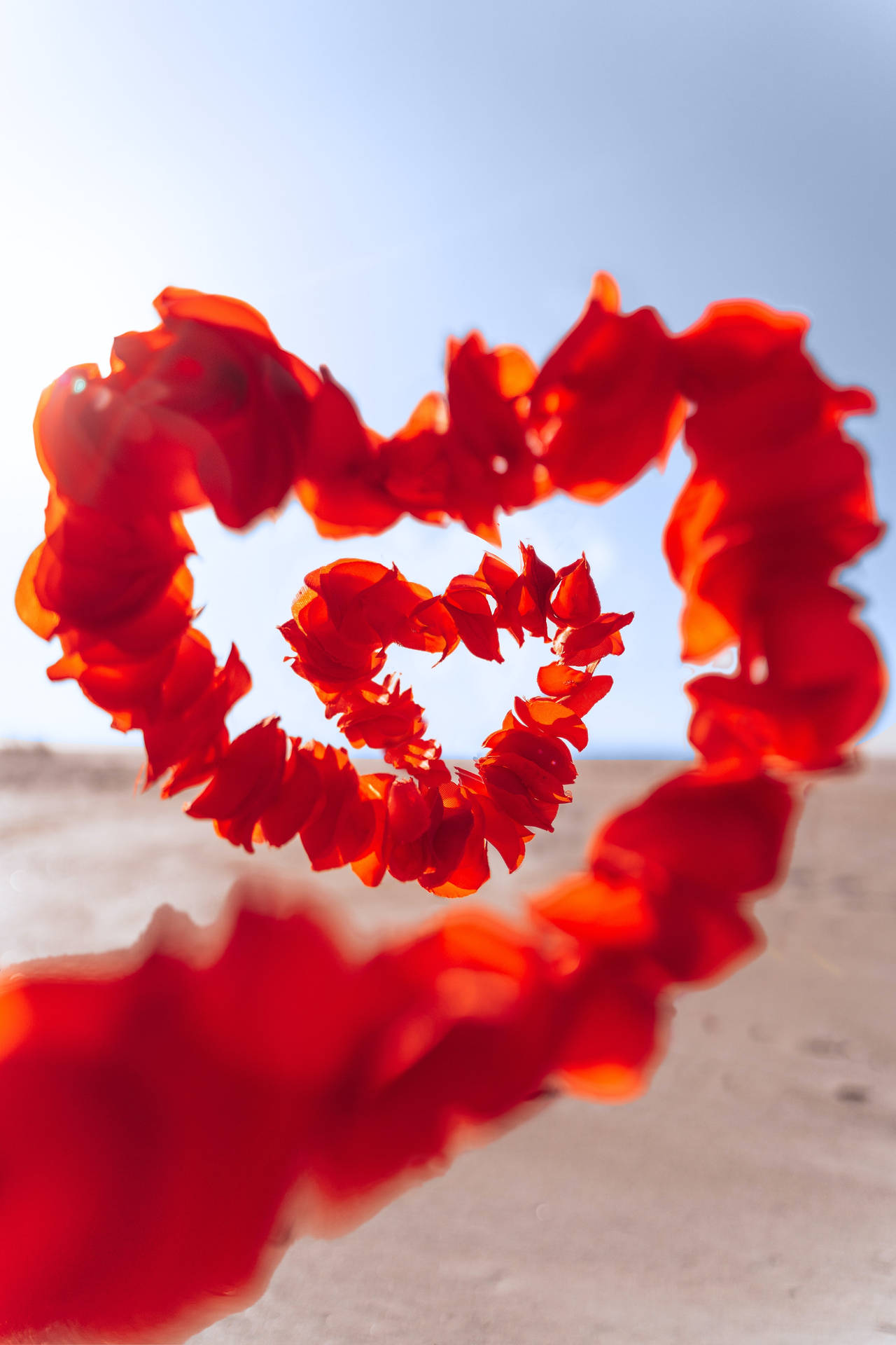 Romantic Love Heart Petals Wallpaper