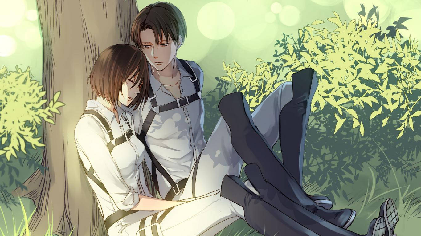 A LOVE STORY FOR THE AGES - MIKASA & LEVI Wallpaper