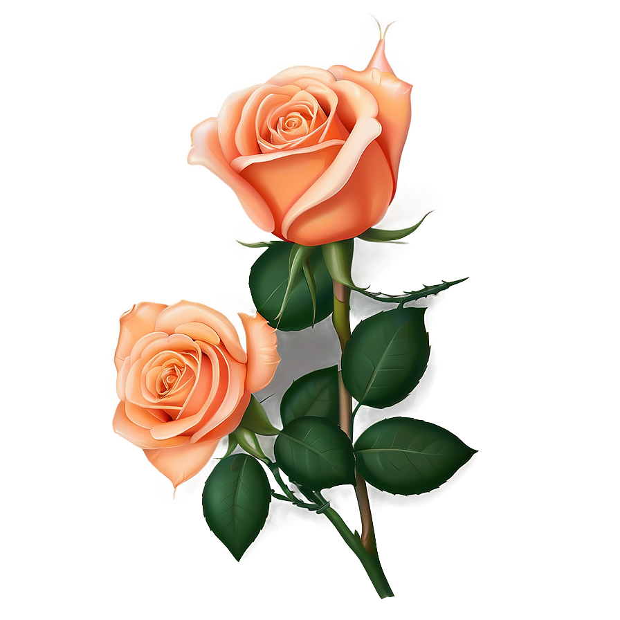 Romantic Orange Rose Png 51 PNG