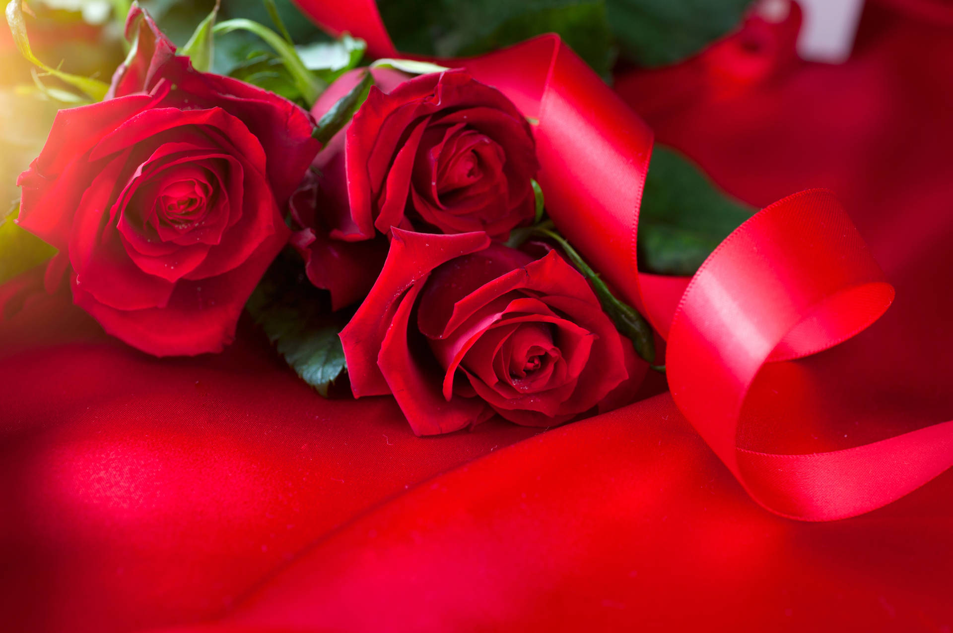 Rosa Romantica E Nastro Rosso Sfondo