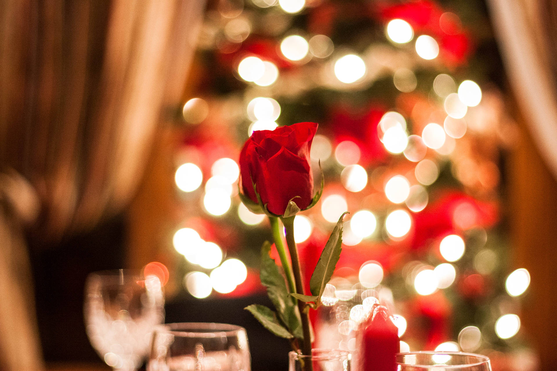 Rosa Romantica Durante Il Natale Sfondo