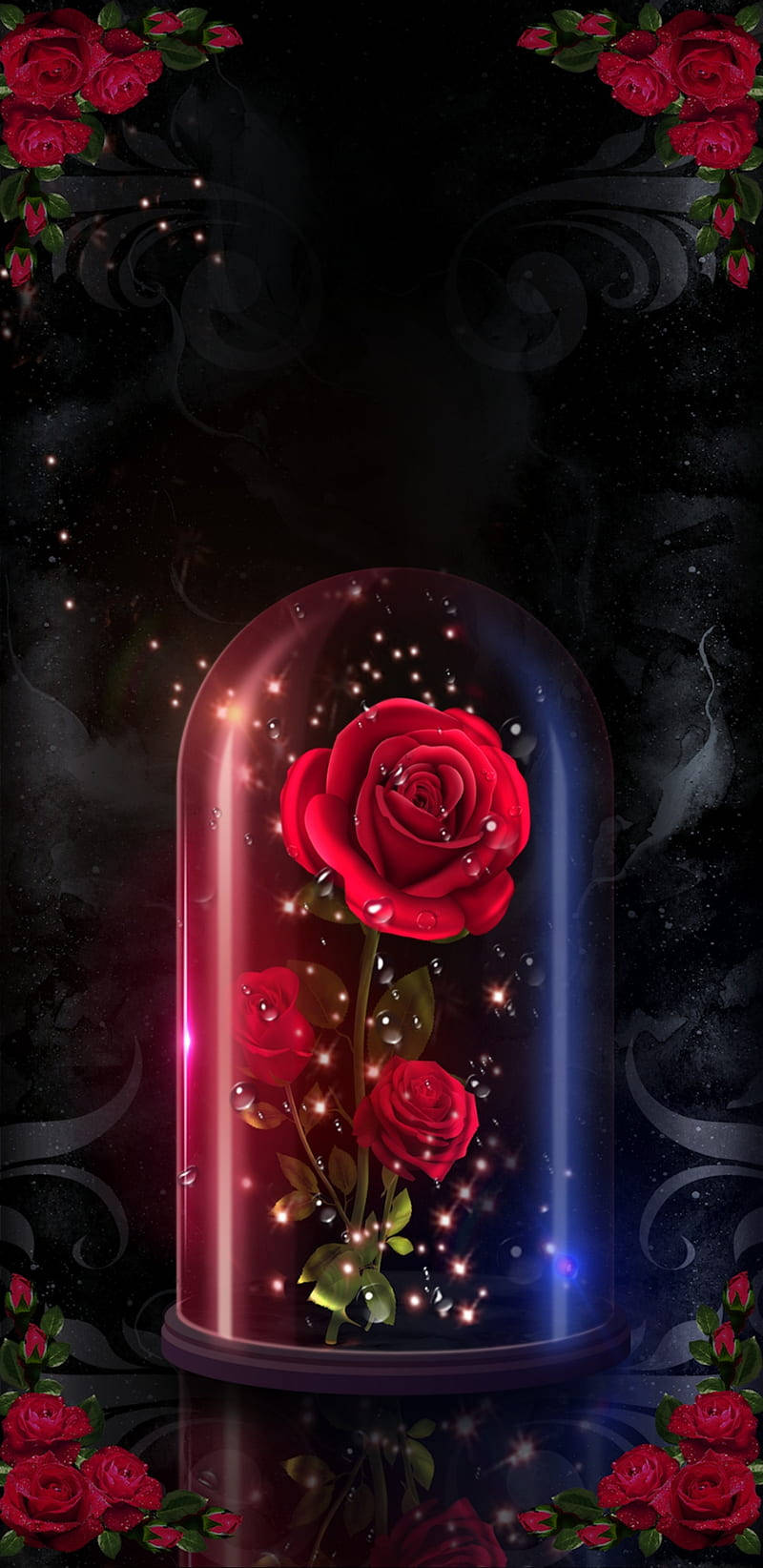 Download Romantic Rose Inside Glass Container Wallpaper 
