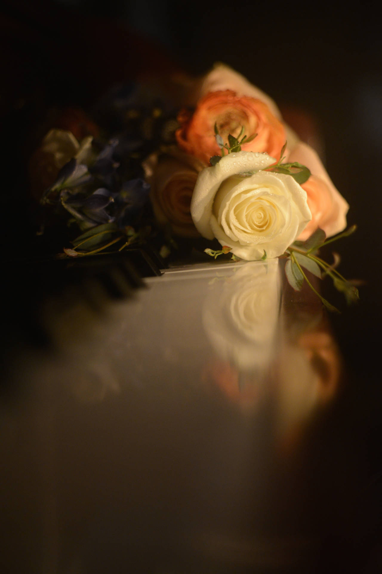 Romantic Roses On Piano Keys Wallpaper