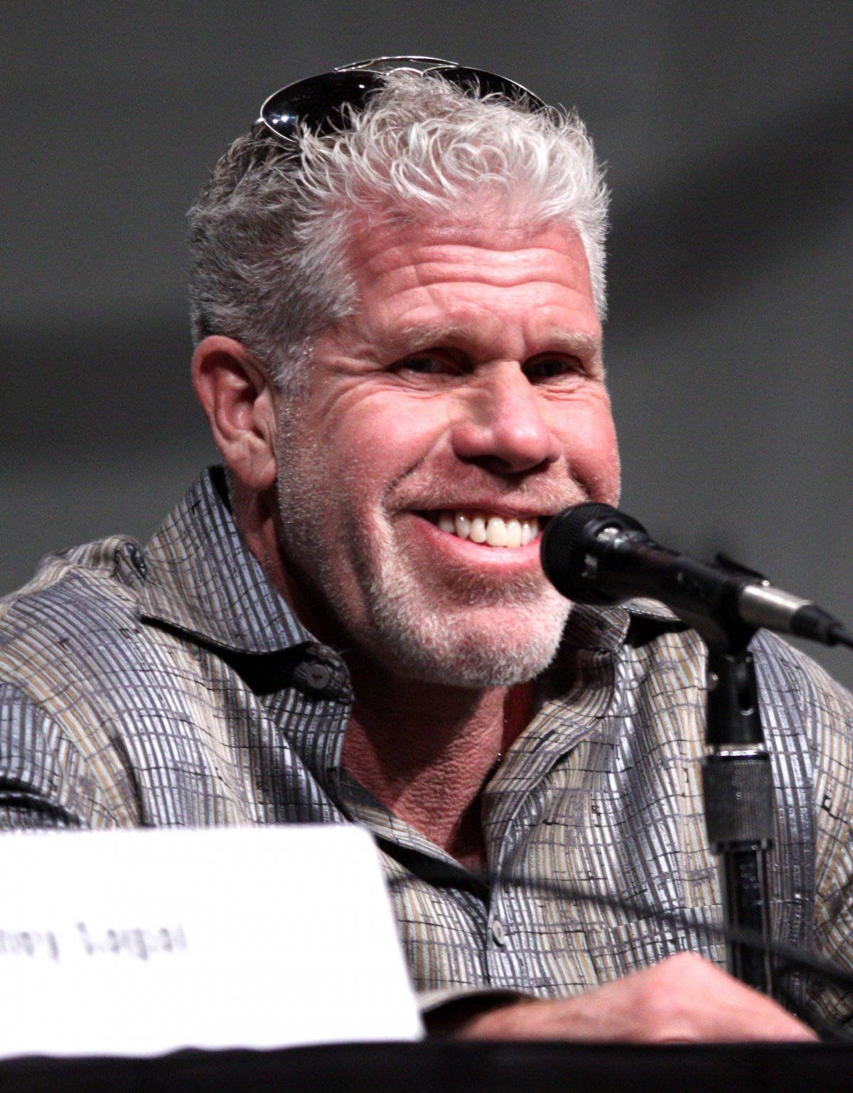 Ron Perlman During A Conference Wallpaper