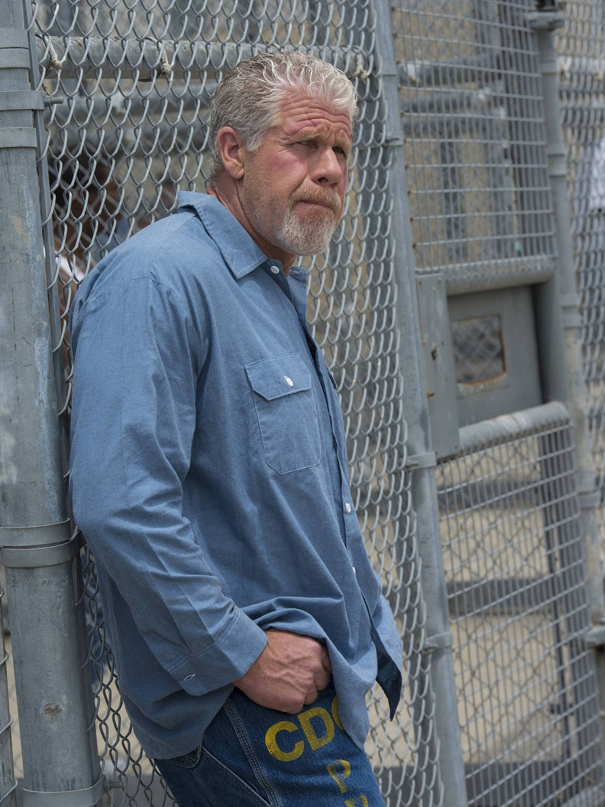 Ron Perlman Leaning On A Metal Fence Wallpaper