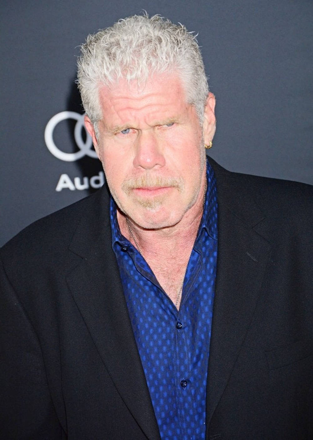 Ron Perlman White Skin And Frosty Hair Wallpaper