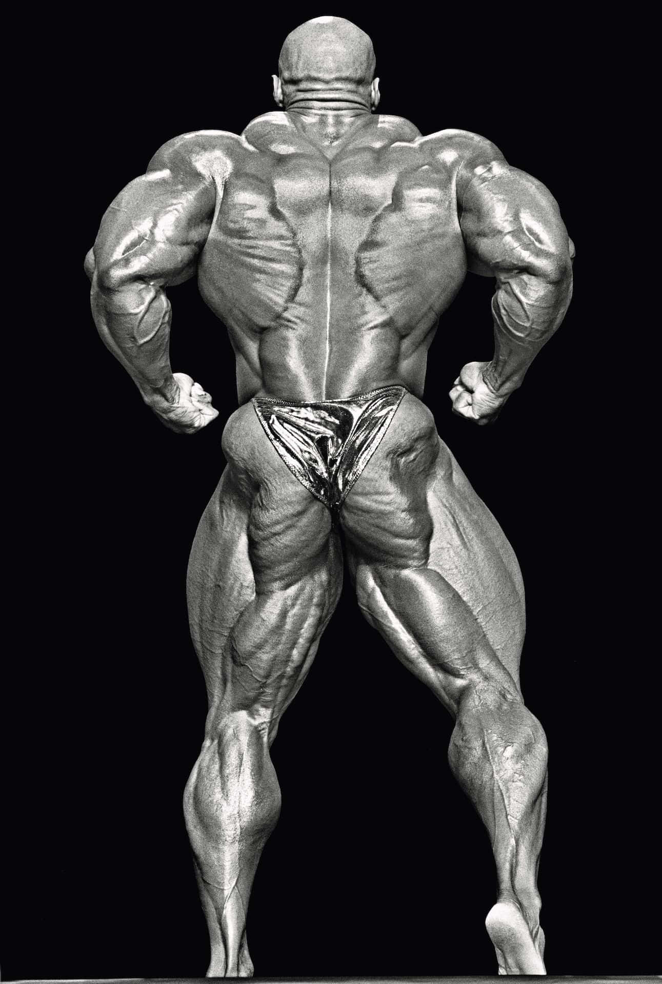 Rear Double Biceps Pose Of Ronnie Coleman Wallpaper