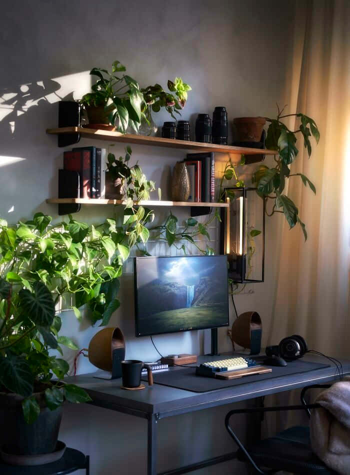 A Desk With Plants And A Computer