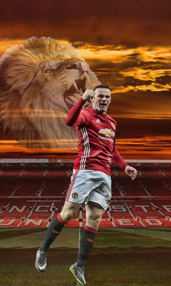 Lion With Wayne Rooney Picture
