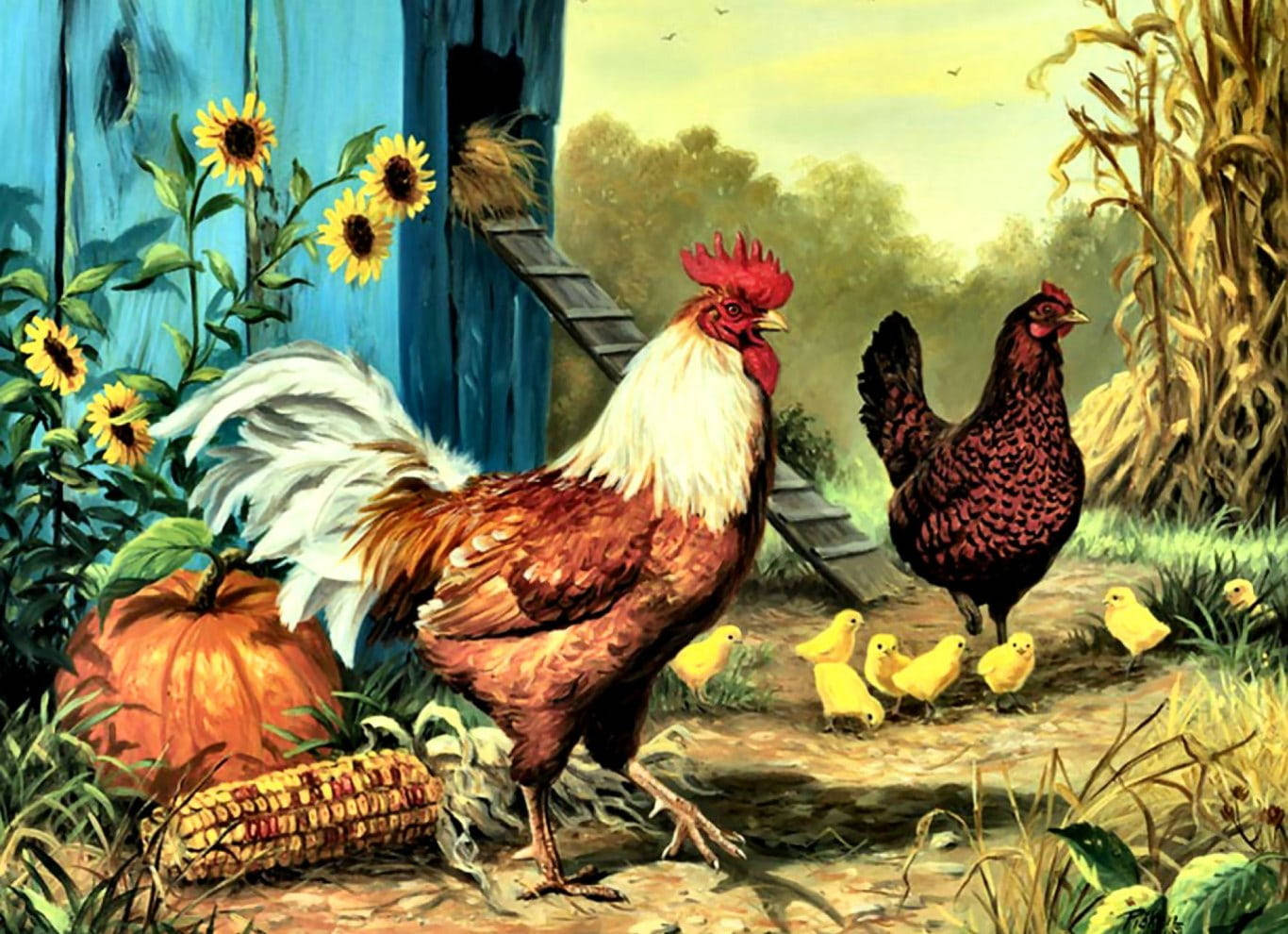 Rooster And Chicken Animals On A Farm Wallpaper