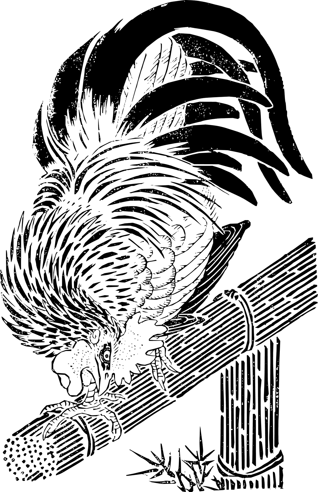 Rooster Sketch Artwork PNG