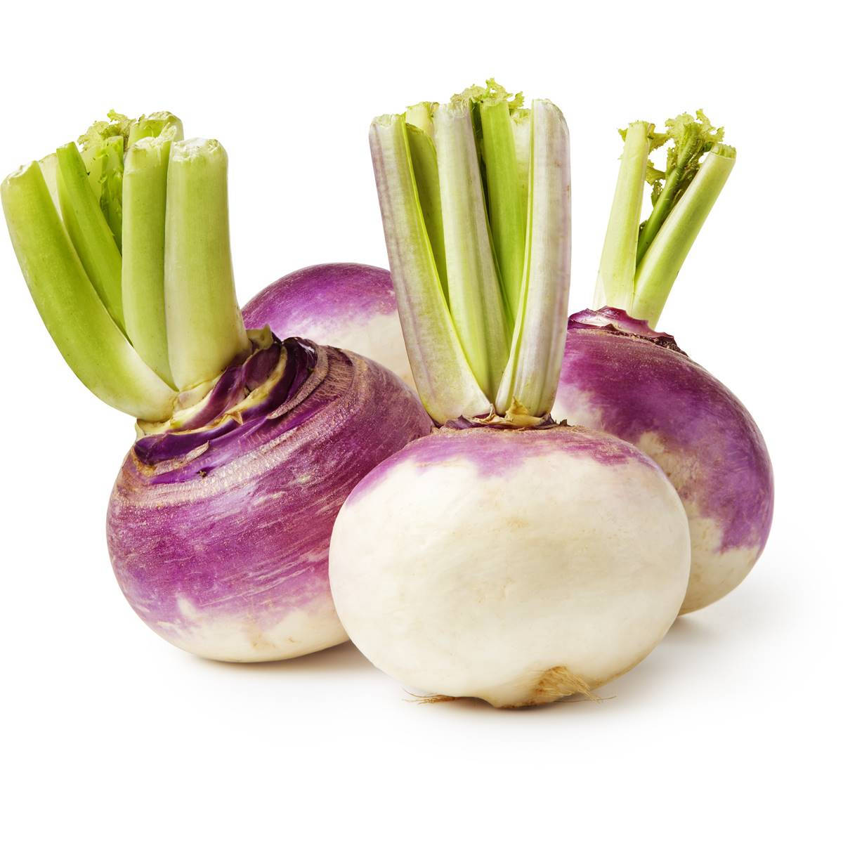Root Vegetable Turnip Wallpaper