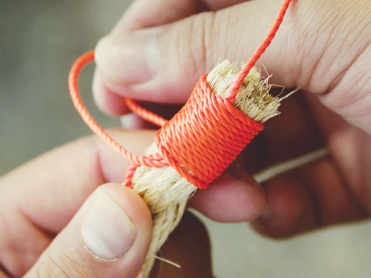 Whip And Fuse Rope Picture
