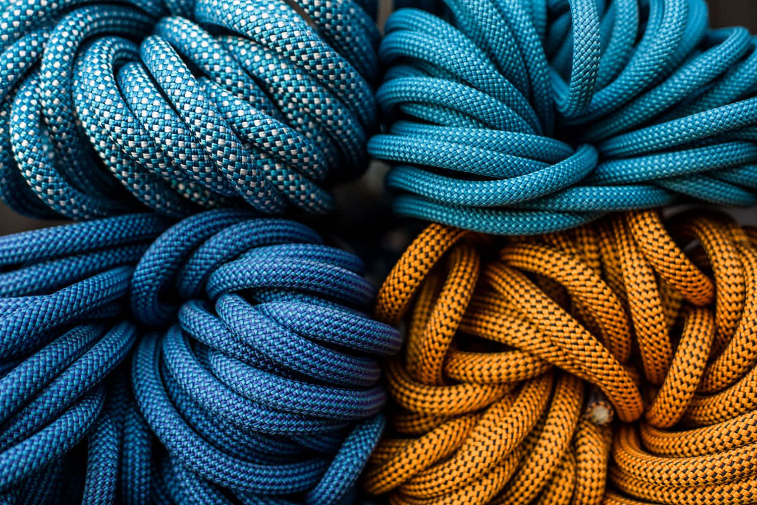 Four Nylon Ropes Picture