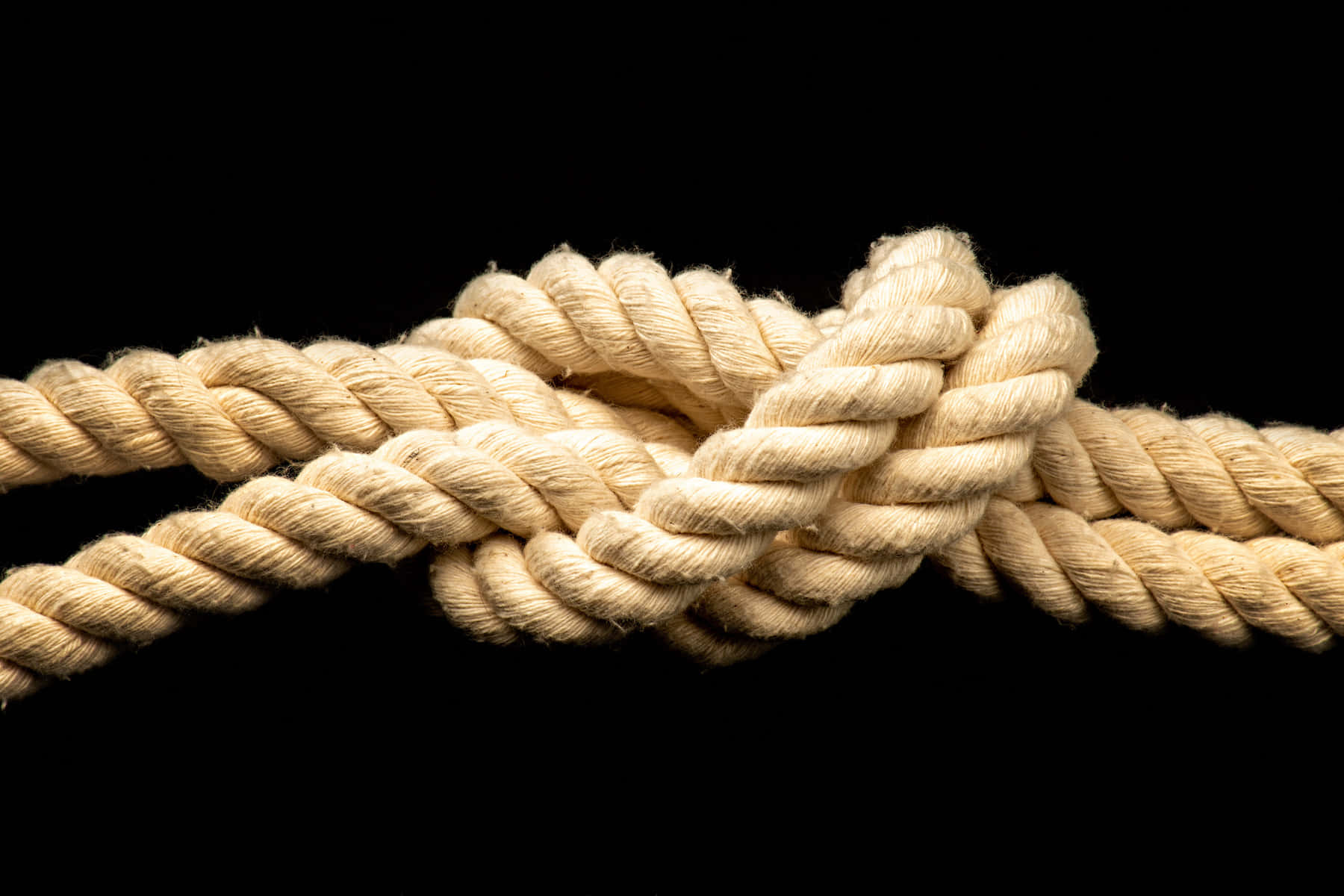 Rope Knot Black Setting Picture