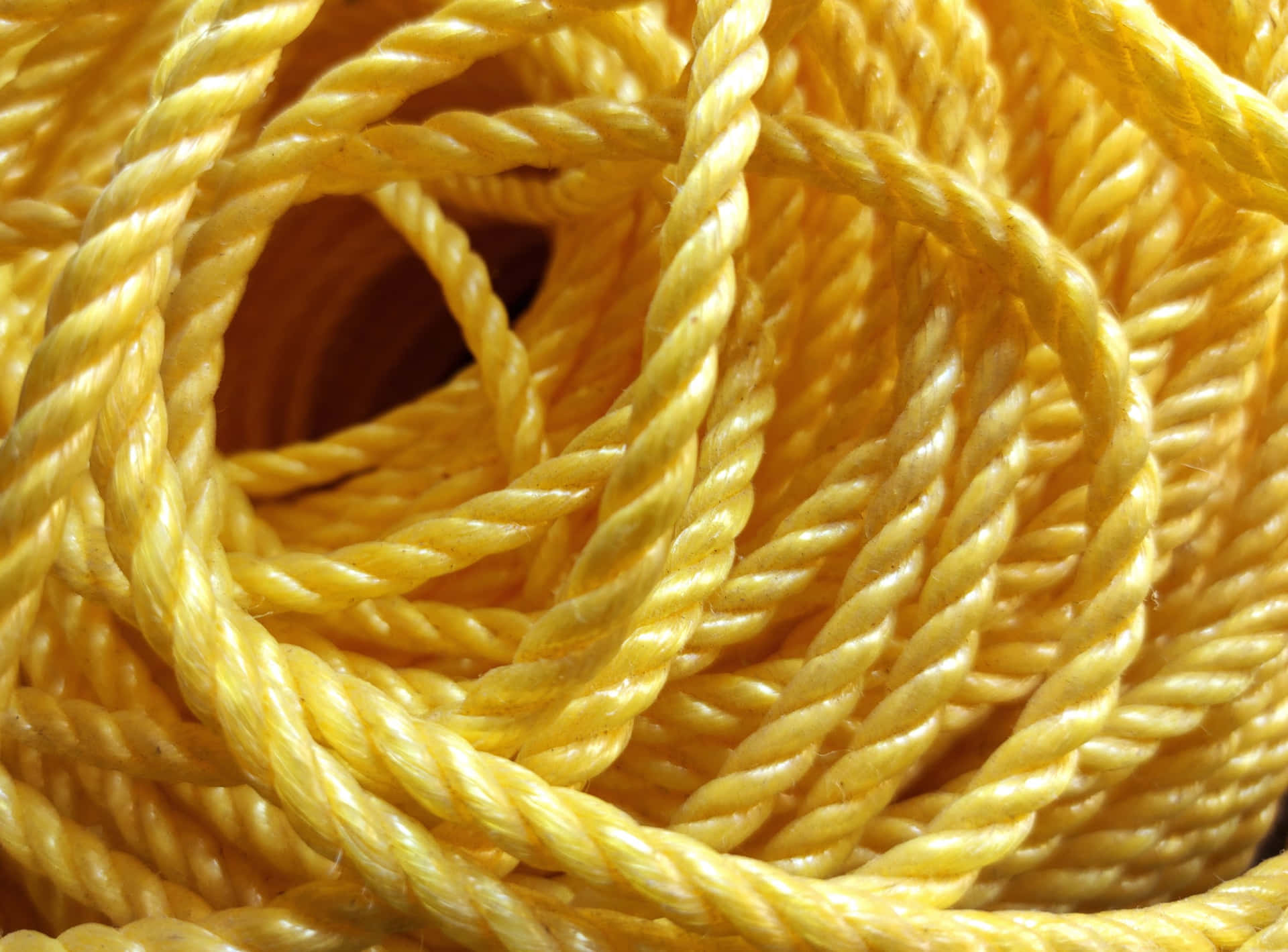 Yellow Rope Close-up Picture