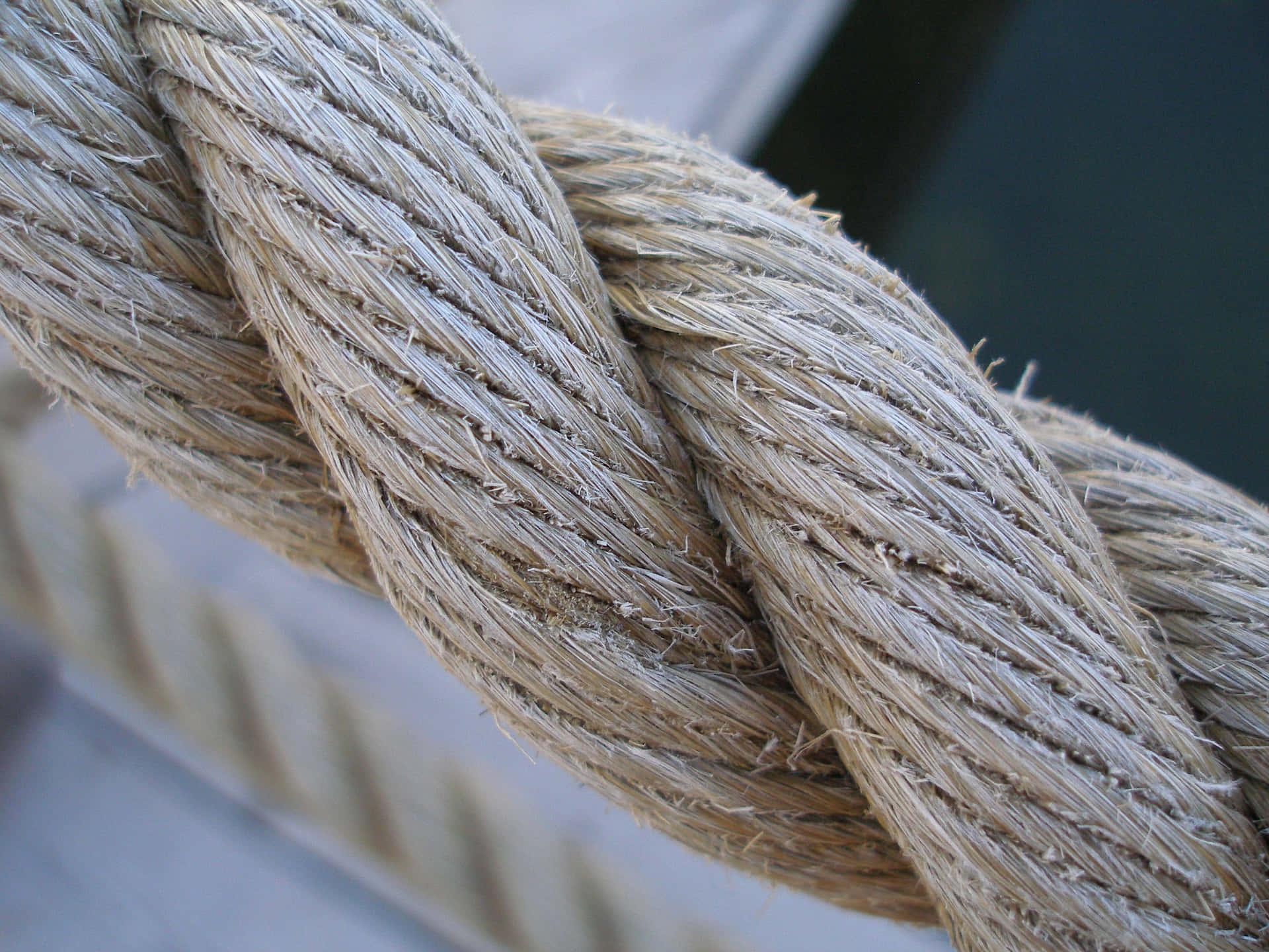 Natural Big Twisted Rope Picture