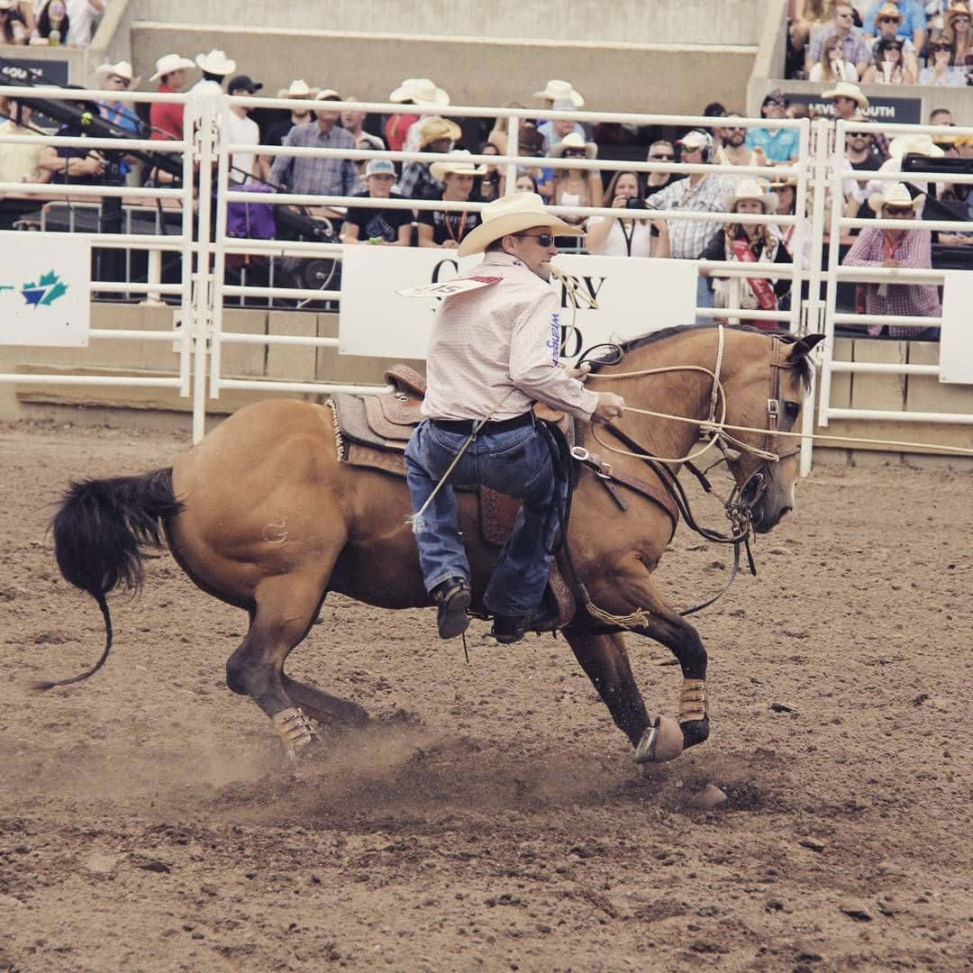 Riding Out of the Arena After a Successful Roping Event