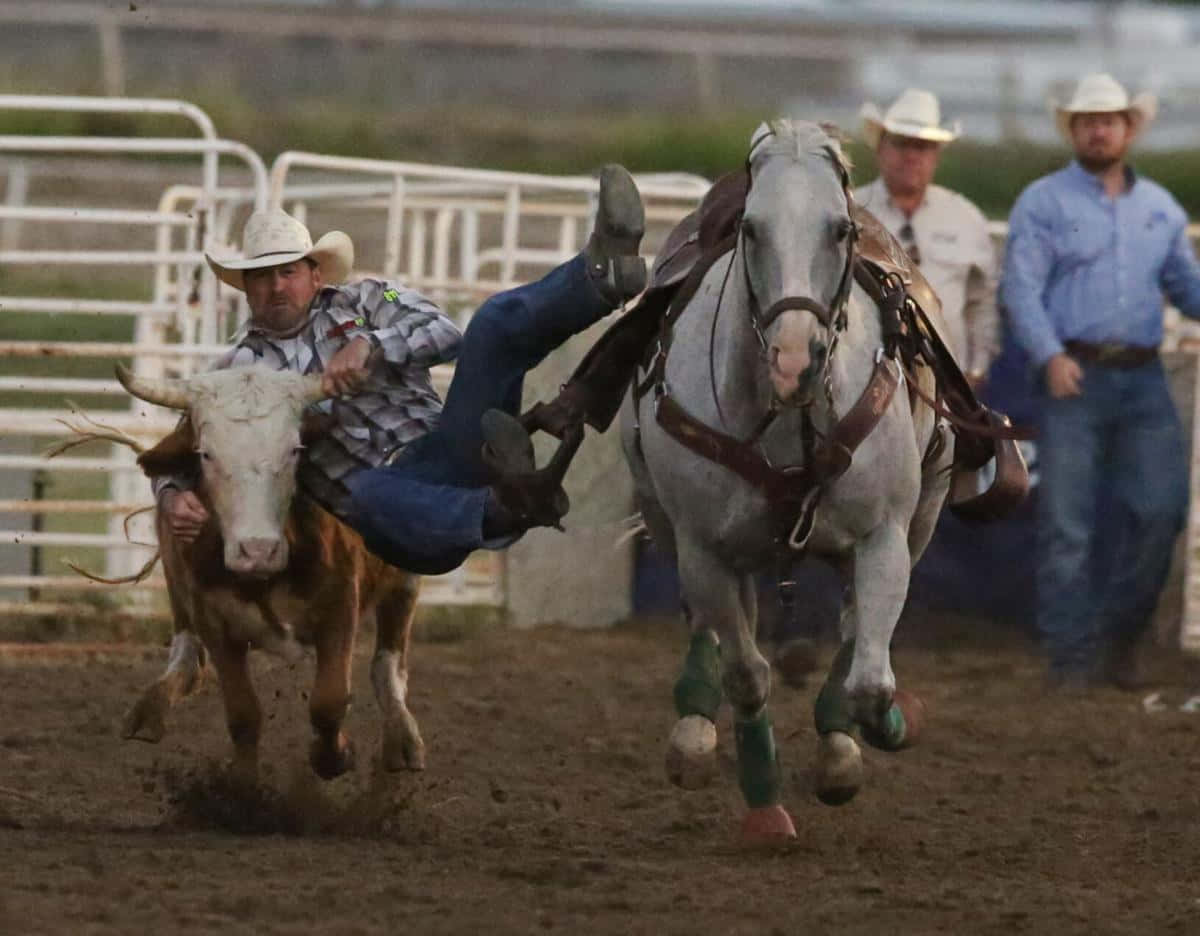 Pro Ropers Going for Gold