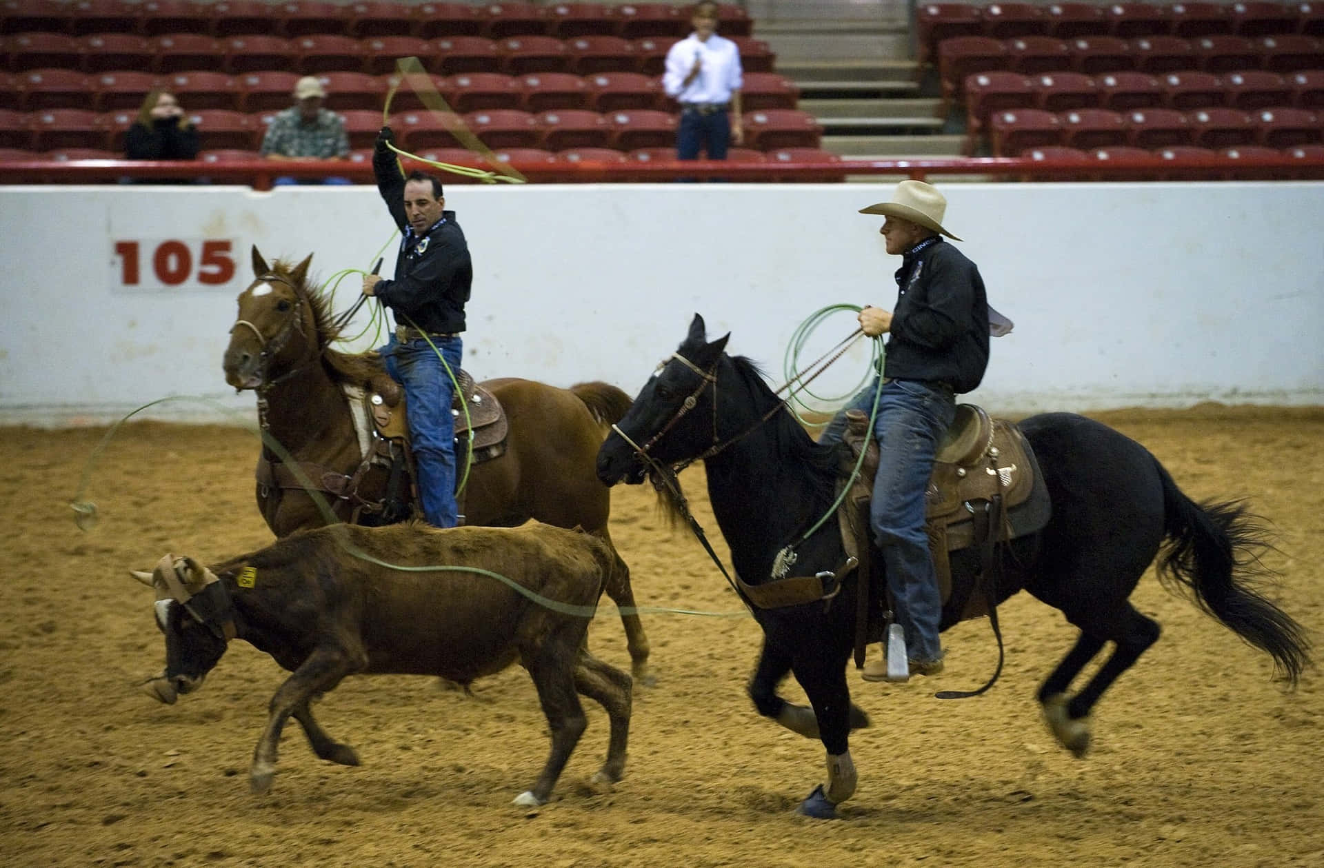 A Cowboy takes aim in a roping competition