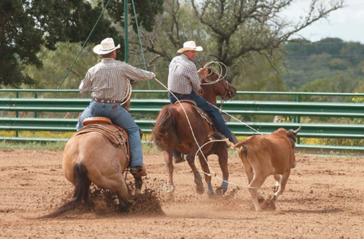 Conquer the World of Roping