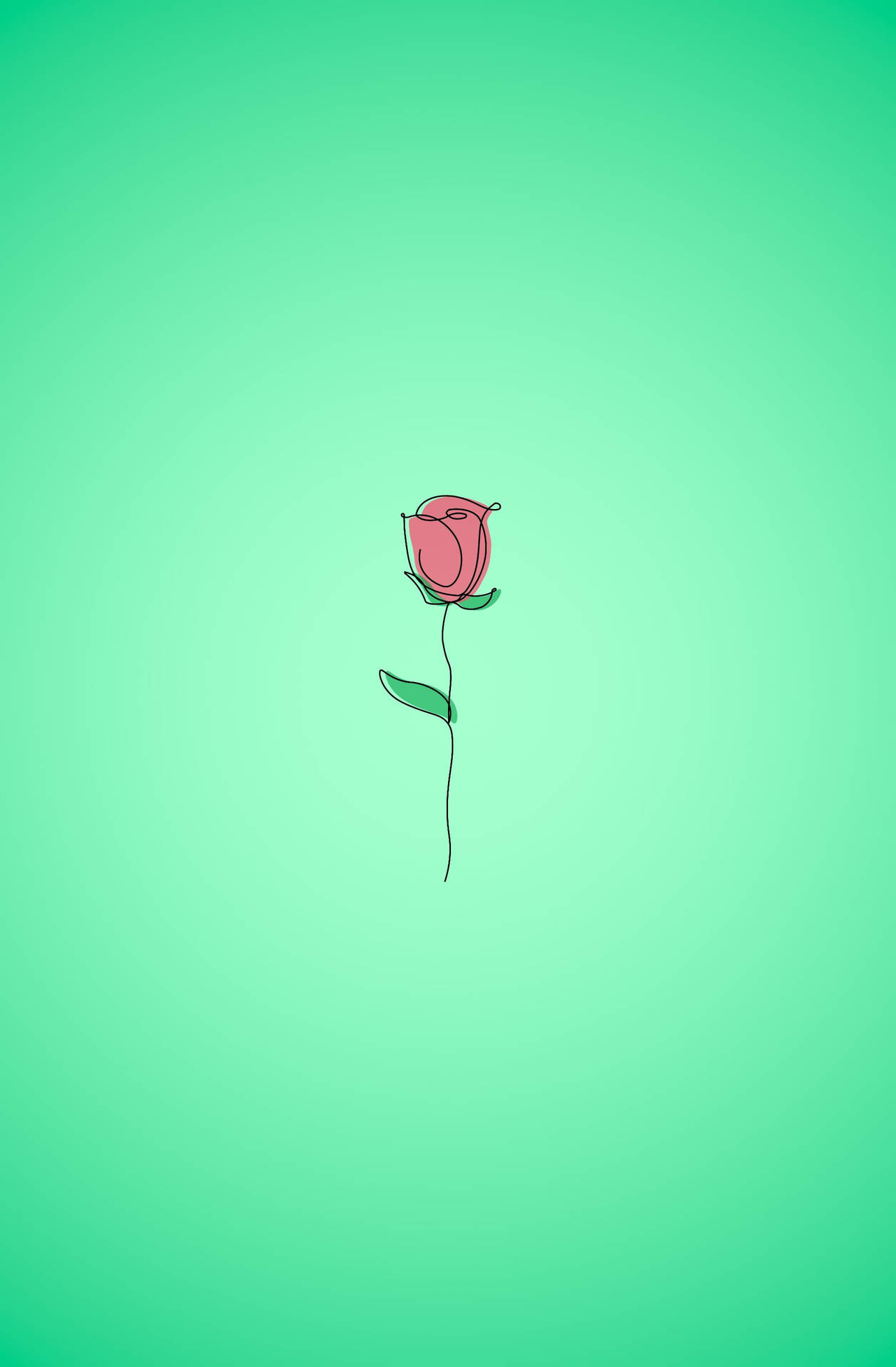 Rose Aesthetic Sketches Wallpaper